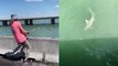 'Angler gets fishing hook stuck in a shark and tries to bring it closer to the water surface '