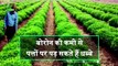 Kisan Bulletin - किसानो को जल्द मिलेगी राहत उर्वरकों की कीमतों में मिलेगी राहत, उर्वरक सब्सिडी पर संशोधन की तैयारी | Green TV