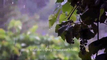 Beautiful Relaxing Music for Stress Relief: Meditation Music, Study Music,calming music,sleep music