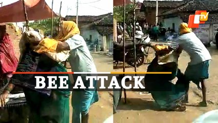 Swarm Of Bees Unleash Attack On Market