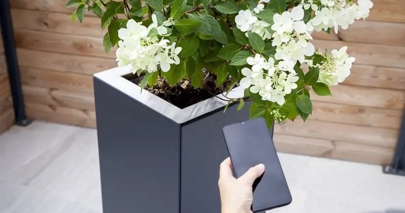 Chasse aux moustiques : une start-up toulousaine invente un piège écolo et connecté efficace à 80%