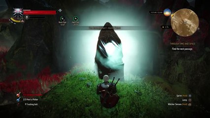 The Witcher 3 - Through Time And Space: Find The Next Passage and Navigate The Poisonous Gas World PS4