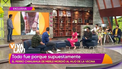 Merle Uribe protagoniza pelea con una mujer por defender a su perro chihuahua