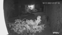 Man fined after being caught on camera kicking hedgehog