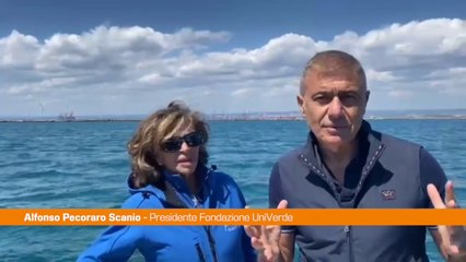 Pecoraro Scanio "A Taranto i delfini meraviglia della natura"