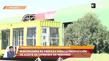 MisioPharma se prepara para la producción de aceite de cannabis en Misiones