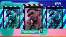 Anitta estrena álbum y Anuel AA con nueva gira -  EXARFRSH