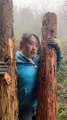 Most Hard Working Chinese Girl Cutting The Trees