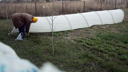 We install a greenhouse or greenhouse in the country