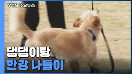 일상회복 첫 주말 맞아 한강 '북적'..."마스크도 벗고싶어" / YTN