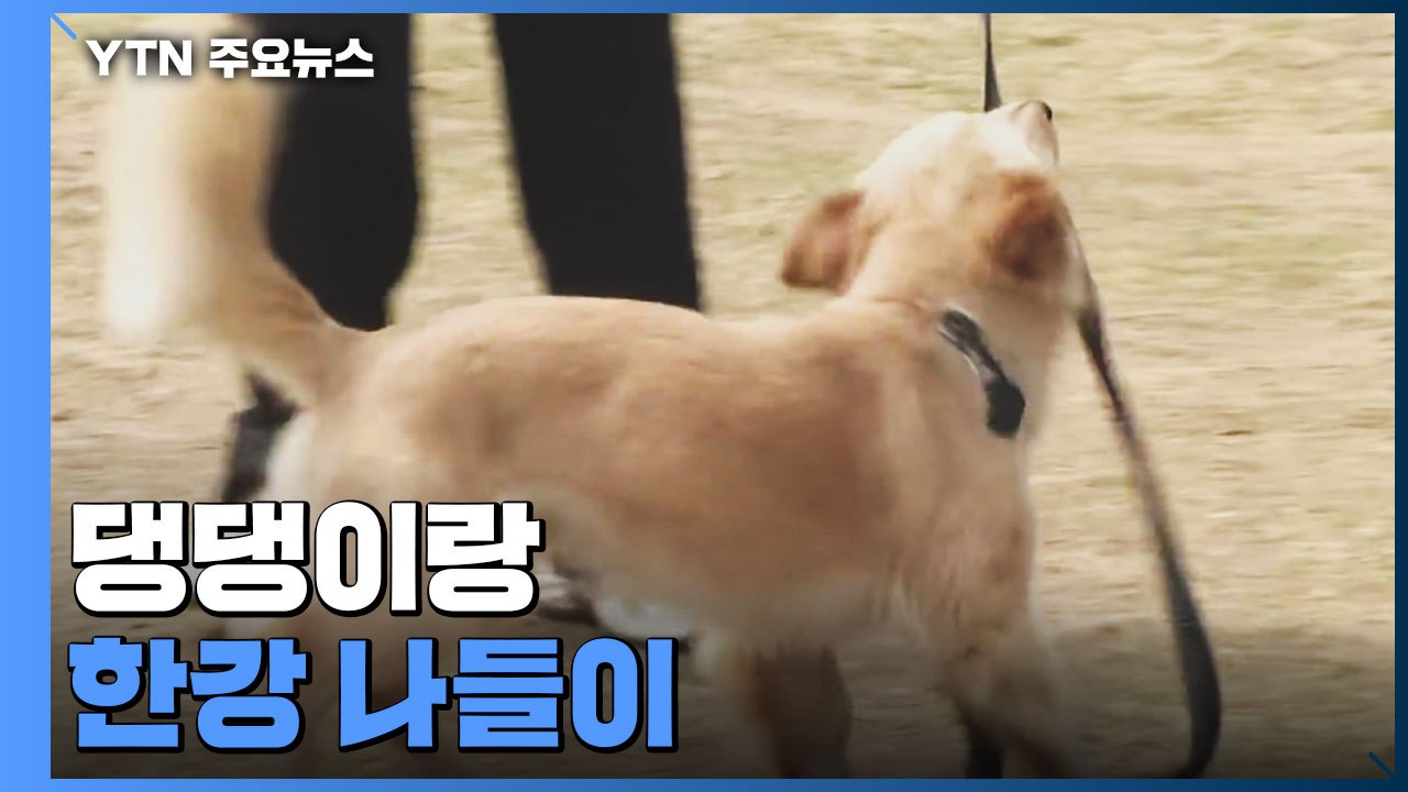 일상회복 첫 주말 맞아 한강 '북적'..."마스크도 벗고싶어" / YTN