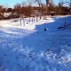 KOMİK VİDEO KAR ÜSTÜNDE SÖRF YAPAN KÖPEK