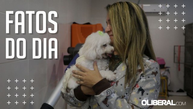 Código de proteção pode impedir práticas de maus-tratos aos animais no Pará