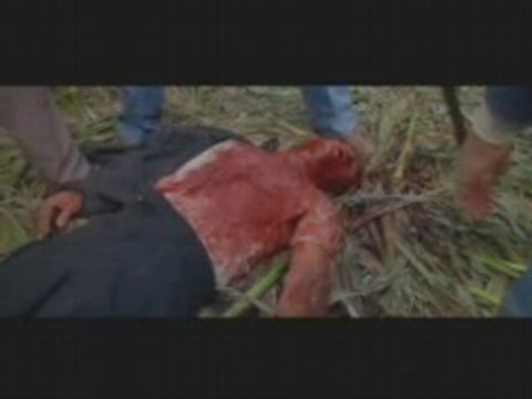 STILL SLAVES-PRODIGY HNIC2.COM