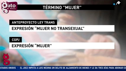 El CGPJ aprueba un demoledor informe contra la ley trans del Gobierno