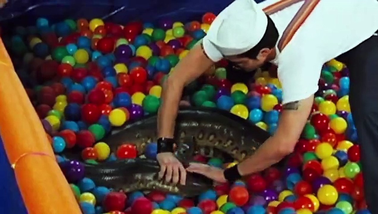 By The Numbers - Best Jackass Cast Member