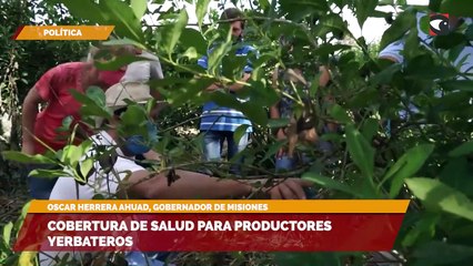Cobertura de salud para productores yerbateros