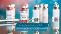 Mecanismo Covax responderá en breve petición de AMLO de vacunas anticovid para niños, dice OPS