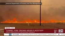 Tunnel Fire continues to grow near Flagstaff