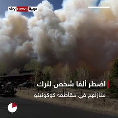 حرائق غابات #أريزونا تتسبب في نزوح الآلاف من السكان    #أميركا