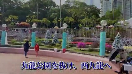 休日の香港 104 西九龍文化区のクリスマスツリー