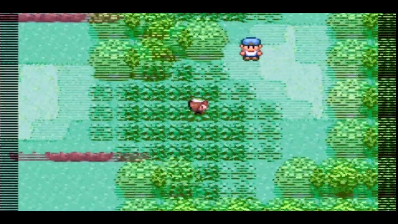 Let's Play Pokemon Émeraude Randomizer #1