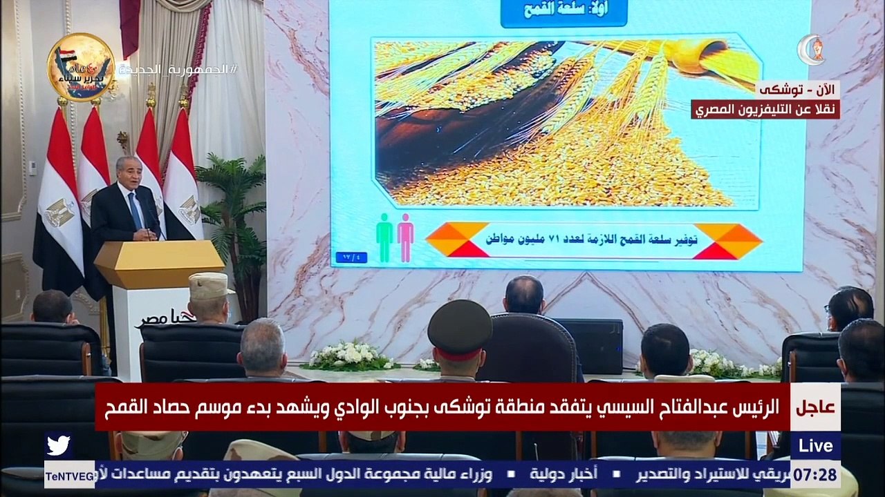 وزير التموين: القمح يخدم 71 مليون مواطن في توفي...
