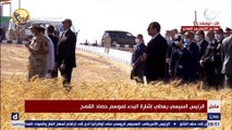 سيرًا على الأقدام.. الرئيس السيسي يطلق إشارة البدء في حصاد القمح بمشروع توشكى