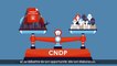 CNDP, mode d'emploi