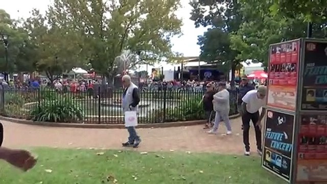 Five day Elvis festival underway at Parkes in central NSW