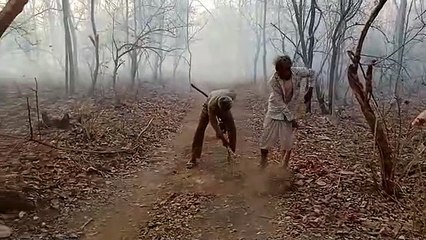 सैटेलाइट सिस्टम ने दिए अलर्र्ट, आग पर समय पर पाया काबू