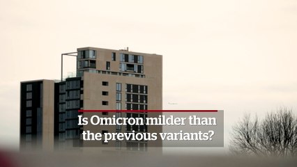 Is Omicron milder than the previous variant of Covid-19?