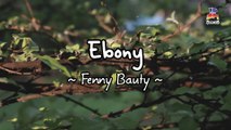 Fenny Bauty - Ebony (Official Lyric Video)