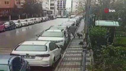 Maltepe’de Pitbullun saldırdığı vatandaş otomobilin üzerine çıkarak canını kurtardı