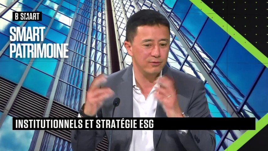 Investisseurs institutionnels et stratégie ESG