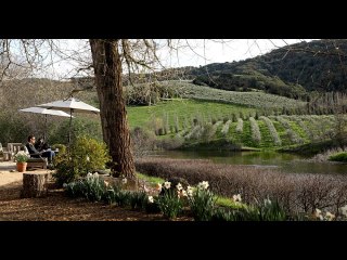 Food fight over olive oil sparks larger debate about the California brand
