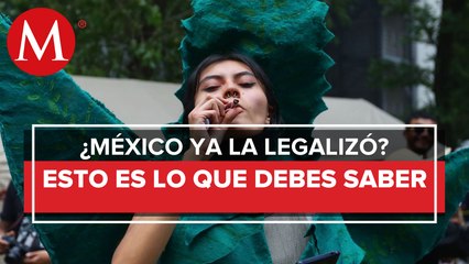 Mes de la legalización. ¿Cómo va México en la regulación de cannabis?