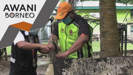 Denggi | 37 kes aktif, lima lokaliti wabak