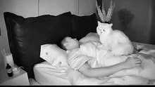 Gato vinga-se de dono que montou uma estrutura para evitar que ele ficasse em cima dele durante a noite