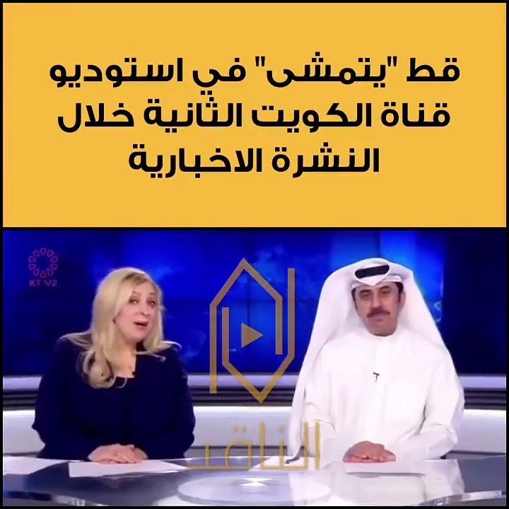 مشهد غير مسبوق..قط يظهر على الهواء خلال النشرة الإخبارية (فيديو)