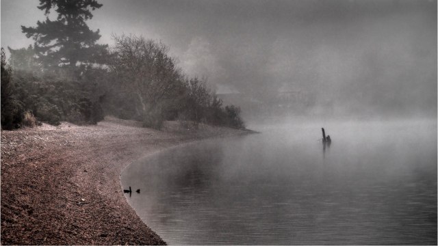 Histoire : le monstre du Loch Ness était-il une anguille géante ?