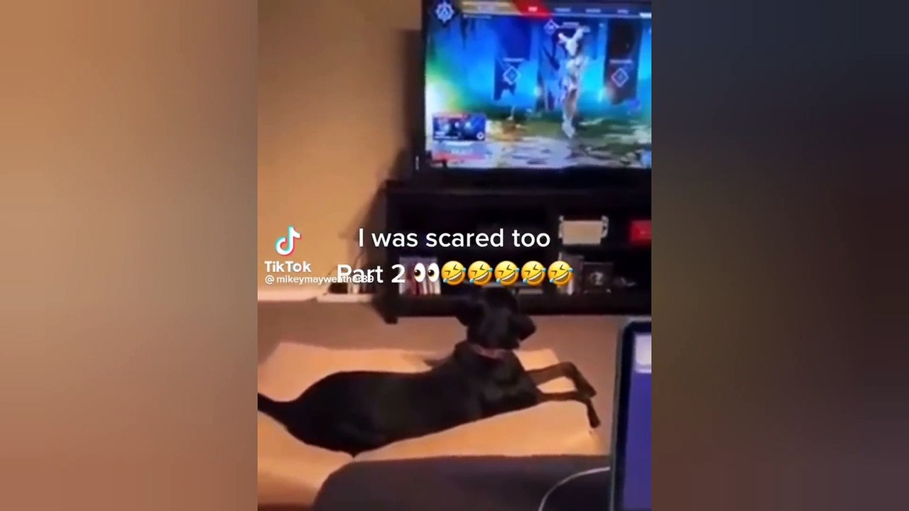 SCARE CAM Priceless Reactions#74 Impossible Not To Laugh__TikTok Honors_