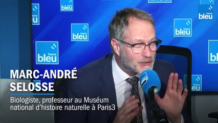 Ces bactéries qui nous gouvernent