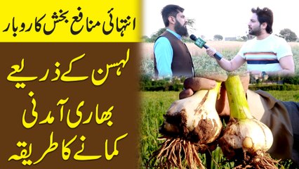 Intehai munafa baksh karobar, Lehsen k zariye bhari amdani kamanay ka tareeqa