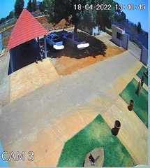 Pets Chasing Kid on Bike Forces Him to Crash into Flower Pot