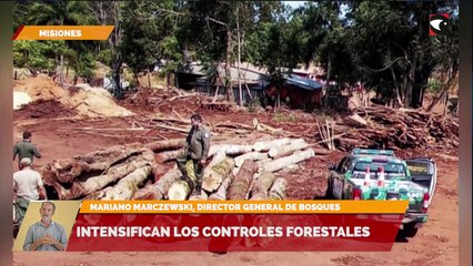 Intensifican los controles forestales