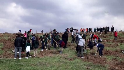 Çubuk'ta çocuklar 23 Nisan'a özel 102 fidanı toprakla buluşturdu