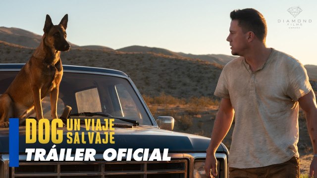 Dog. Un viaje salvaje - Tráiler (2022)