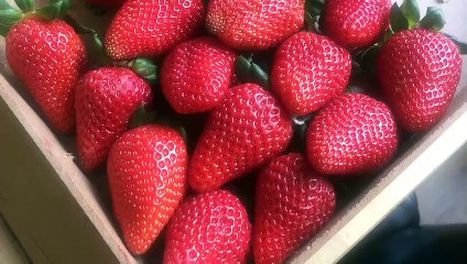 How You Can Get That Picky Eater in Your Life to Try New Foods