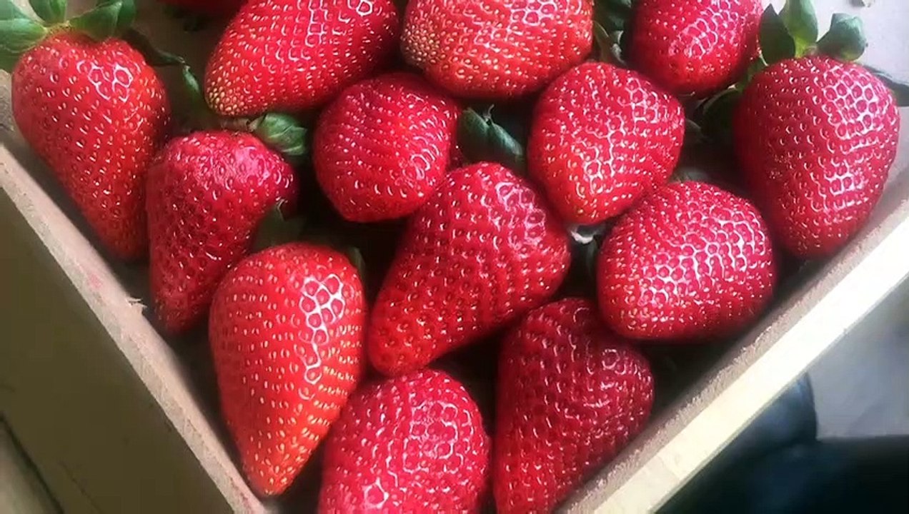 How You Can Get That Picky Eater in Your Life to Try New Foods